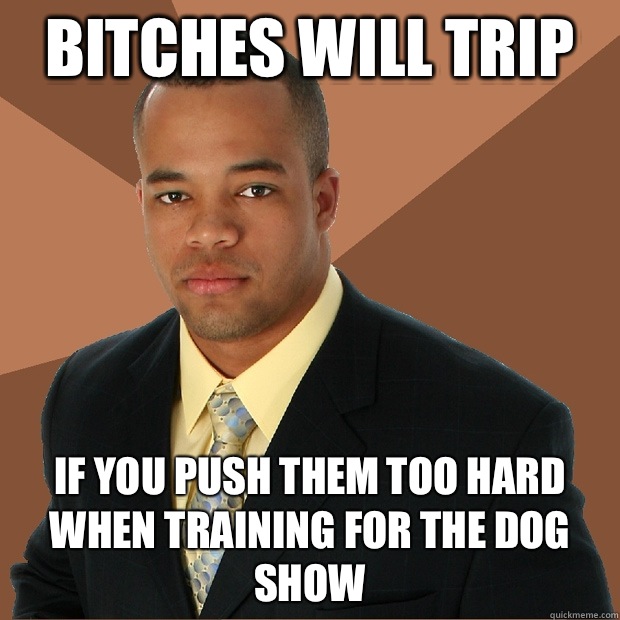 Bitches will trip If you push them too hard when training for the dog show  Successful Black Man