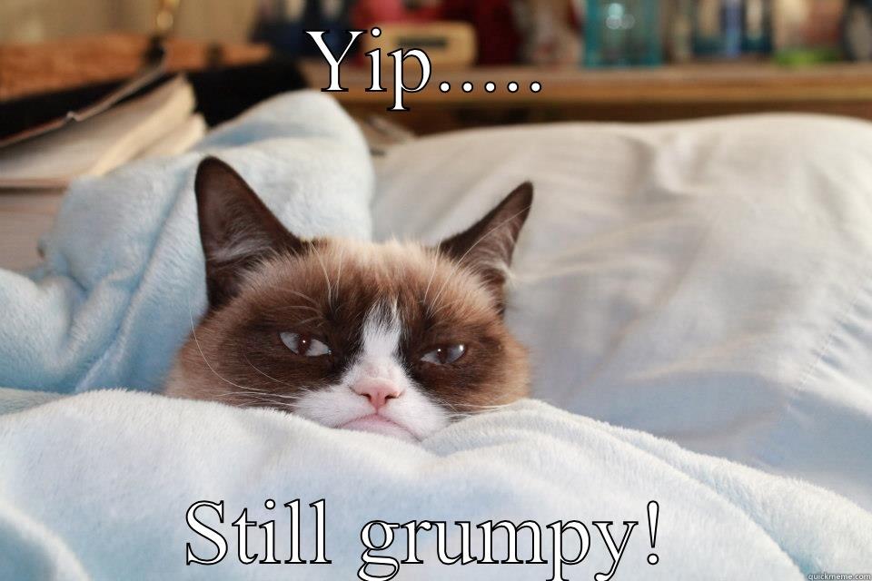 YIP..... STILL GRUMPY! Misc