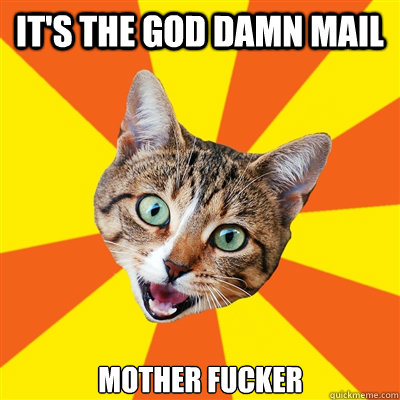 IT's The GOD DAMN MAIL MOTHER FUCKER  Bad Advice Cat