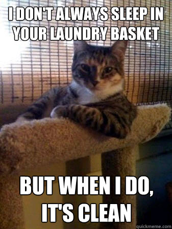 I don't always sleep in your laundry basket But when I do, it's clean  - I don't always sleep in your laundry basket But when I do, it's clean   The Most Interesting Cat in the World