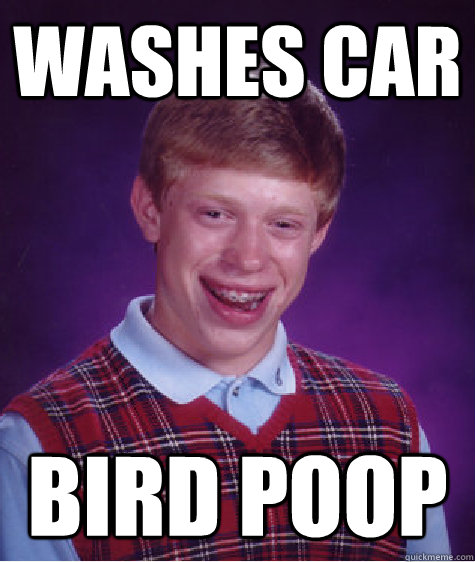 Washes Car Bird Poop  Bad Luck Brian