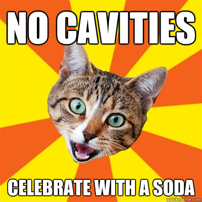 no cavities celebrate with a soda  Bad Advice Cat