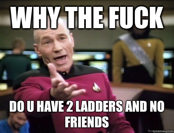 why the fuck Do u have 2 ladders and no friends  Annoyed Picard HD