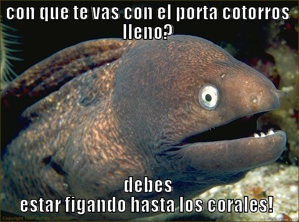 CON QUE TE VAS CON EL PORTA COTORROS LLENO? DEBES ESTAR FIGANDO HASTA LOS CORALES!  Bad Joke Eel