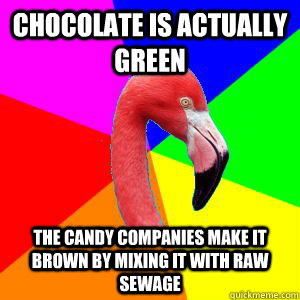 Chocolate is actually green The candy companies make it brown by mixing it with raw sewage  