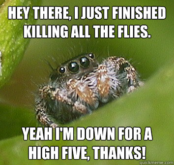 Hey there, I just finished killing all the flies. yeah I'm down for a high five, thanks!  Misunderstood Spider