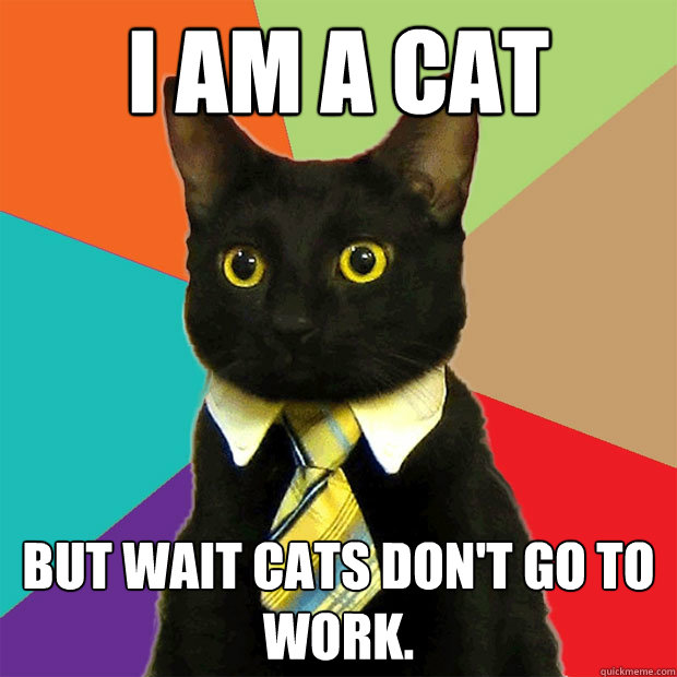 i am a cat but wait cats don't go to work.  Business Cat