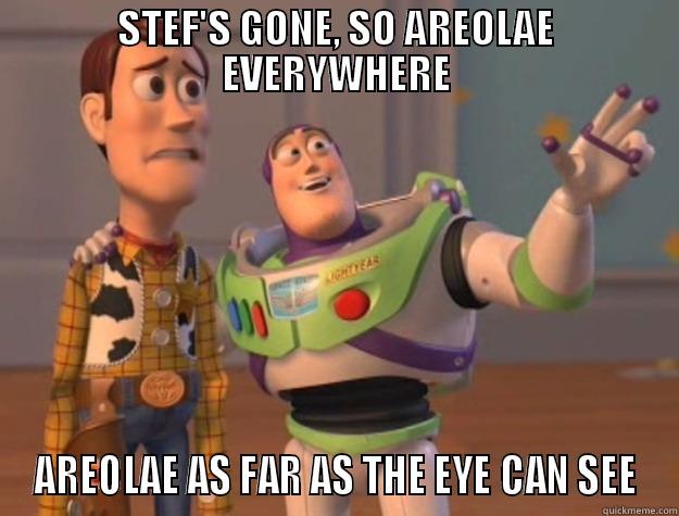 Stef's Gone So Areolae - STEF'S GONE, SO AREOLAE EVERYWHERE AREOLAE AS FAR AS THE EYE CAN SEE Toy Story