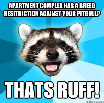 apartment complex has a breed resitriction against your pitbull? thats ruff! - apartment complex has a breed resitriction against your pitbull? thats ruff!  Lame Pun Coon