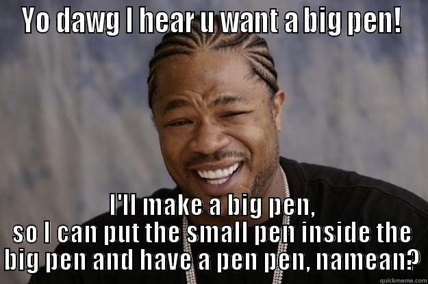 YO DAWG I HEAR U WANT A BIG PEN! I'LL MAKE A BIG PEN, SO I CAN PUT THE SMALL PEN INSIDE THE BIG PEN AND HAVE A PEN PEN, NAMEAN? Xzibit meme