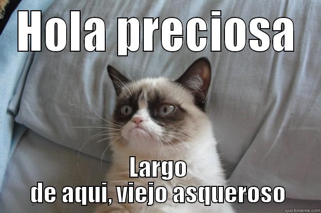 annoying old fart - HOLA PRECIOSA LARGO DE AQUI, VIEJO ASQUEROSO Grumpy Cat
