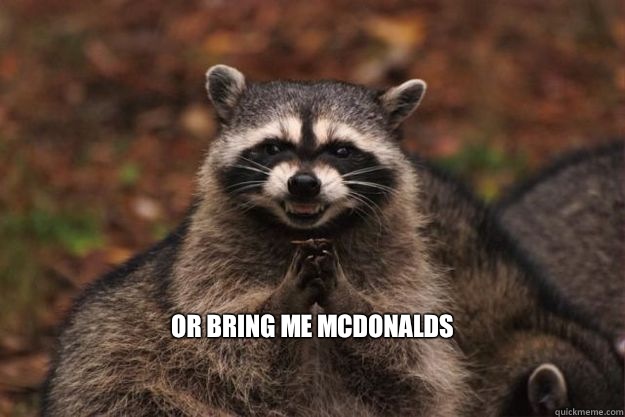  Or bring me McDonalds

 -  Or bring me McDonalds

  Evil Plotting Raccoon