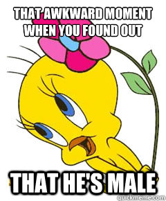 that awkward moment when you found out that he's male - that awkward moment when you found out that he's male  tweety fail