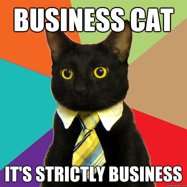 business cat it's strictly business  Business Cat