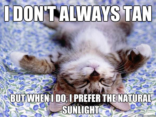 I don't always tan but when i do, I prefer the natural sunlight  Tanning Cat