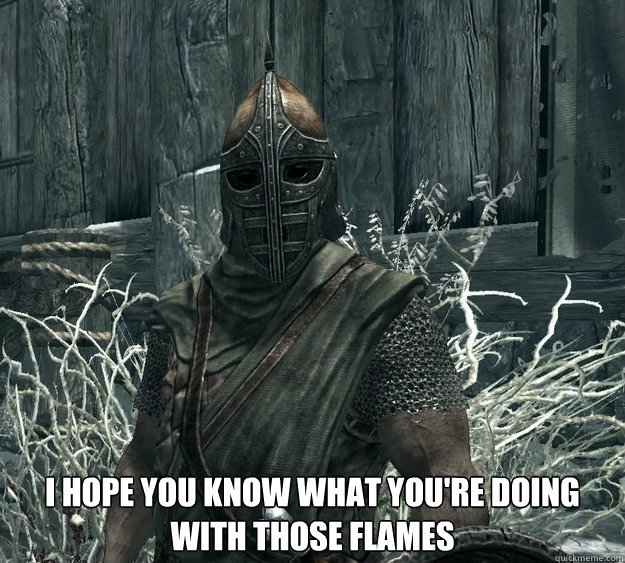  I hope you know what you're doing with those flames  Skyrim Guard