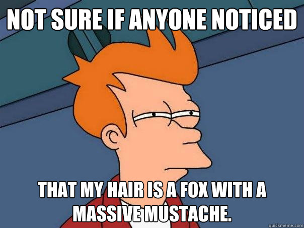 Not sure if anyone noticed that my hair is a fox with a massive mustache.  Futurama Fry