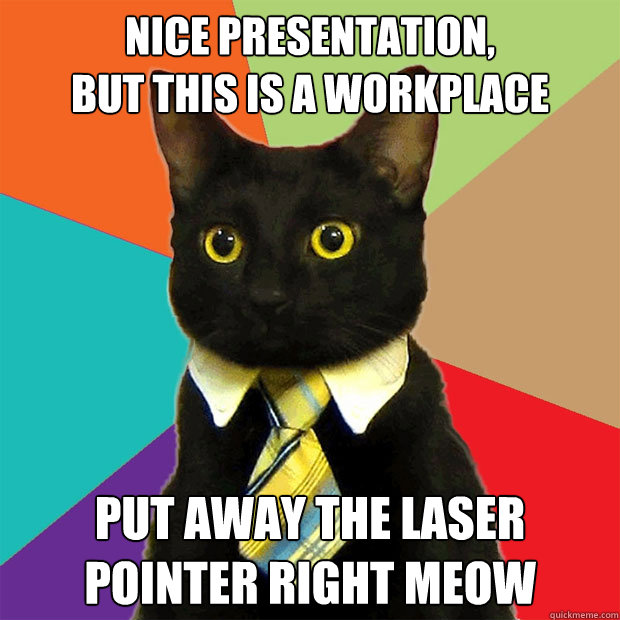 Nice presentation, 
but this is a workplace Put away the laser pointer right meow  Business Cat