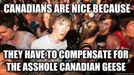 Canadians are nice because they have to compensate for the asshole Canadian geese  Sudden Clarity Clarence