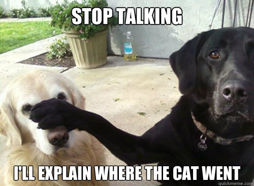 Stop talking I'll explain where the cat went  