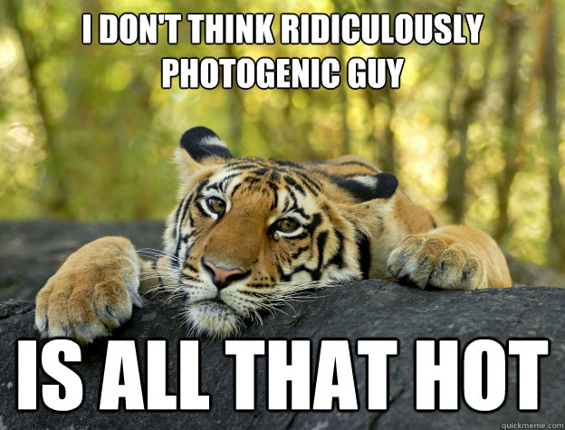 I don't think Ridiculously Photogenic Guy is all that hot  Confession Tiger