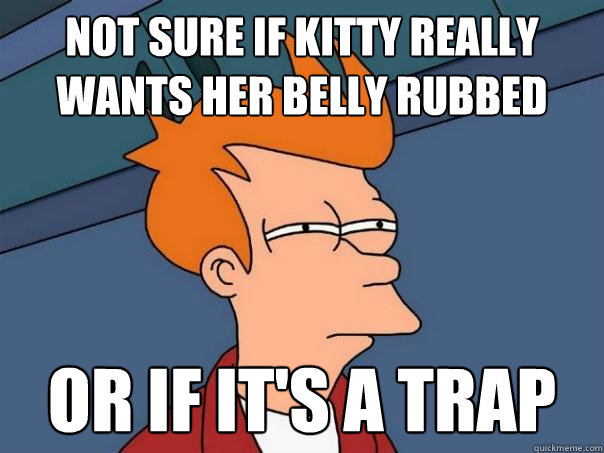 not sure if kitty really wants her belly rubbed Or if it's a trap  Futurama Fry