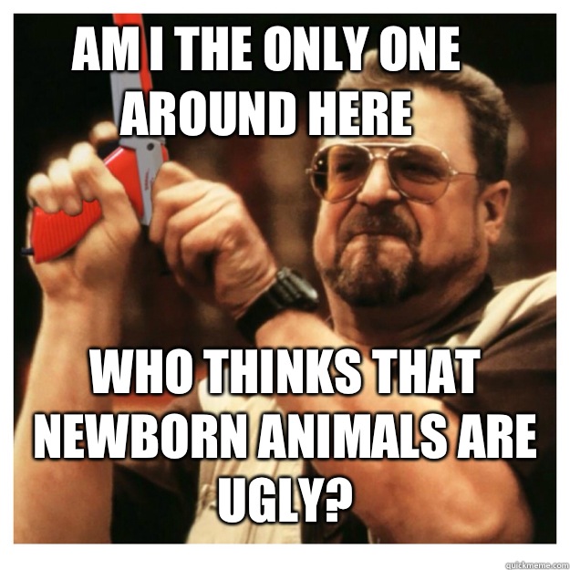 Am i the only one around here Who thinks that newborn animals are ugly?    John Goodman