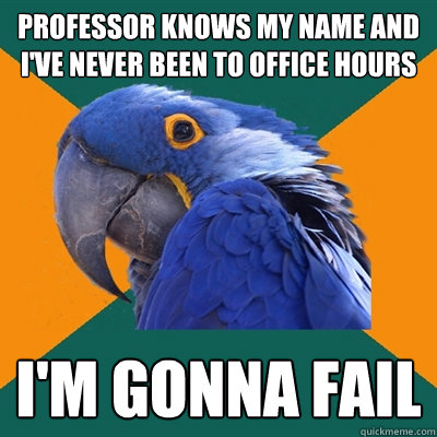 Professor Knows my name and I've never been to office hours I'm gonna fail  Paranoid Parrot