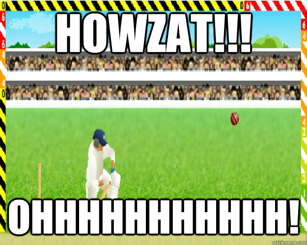 HOWZAT!!! ohhhhhhhhhhh!   Cricket Defend the Wicket