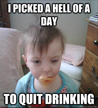 I picked a hell of a day to quit drinking  Party Toddler