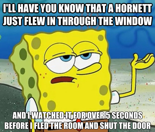 I'll have you know that a hornett just flew in through the window and i watched it for over 5 seconds before i fled the room and shut the door  Tough Spongebob