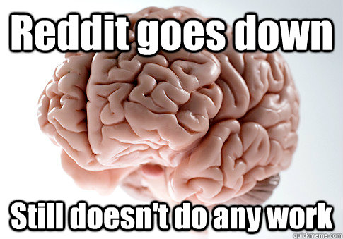 Reddit goes down Still doesn't do any work   Scumbag Brain