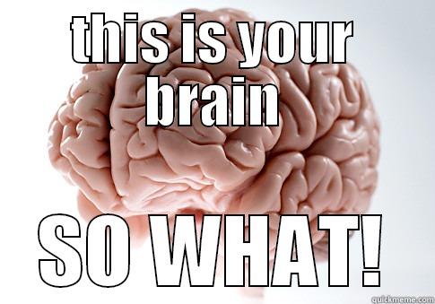 THIS IS YOUR BRAIN SO WHAT! Scumbag Brain