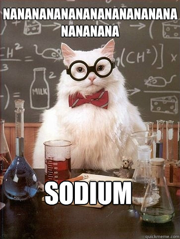 NaNaNaNaNaNaNaNaNaNaNaNaNaNaNaNa SODIUM  Chemistry Cat