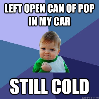 Left open can of Pop in my car still cold  Success Kid