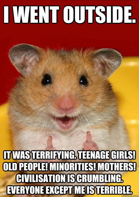 I went outside.  It was terrifying. Teenage girls! Old people! Minorities! Mothers! Civilisation is crumbling. Everyone except me is terrible.  - I went outside.  It was terrifying. Teenage girls! Old people! Minorities! Mothers! Civilisation is crumbling. Everyone except me is terrible.   Rationalization Hamster