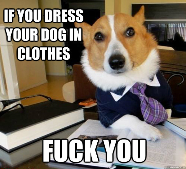 If you dress your dog in clothes fuck you  Lawyer Dog