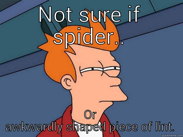 NOT SURE IF SPIDER.. OR AWKWARDLY SHAPED PIECE OF LINT. Futurama Fry