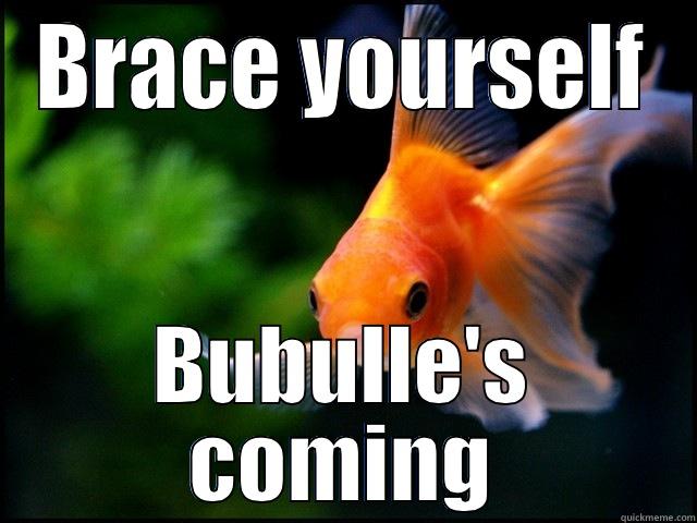 Bubulle encore - BRACE YOURSELF BUBULLE'S COMING Misc