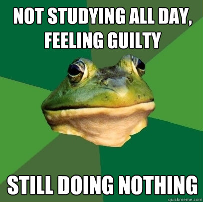 Not studying all day, feeling guilty still doing nothing  Foul Bachelor Frog