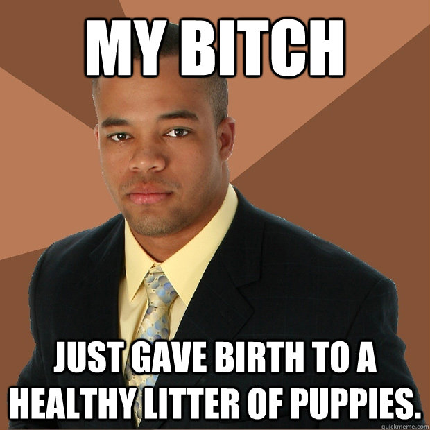 My bitch just gave birth to a healthy litter of puppies.  Successful Black Man