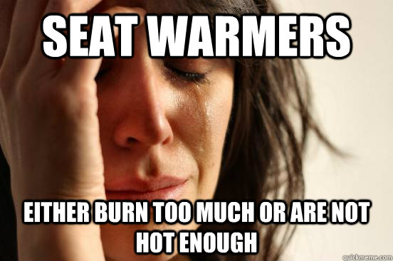 Seat warmers  either burn too much or are not hot enough  First World Problems