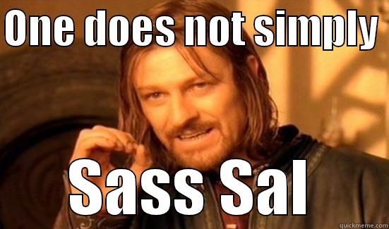 Sassy Sal - ONE DOES NOT SIMPLY  SASS SAL Boromir