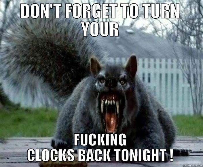 TURN YOUR CLOCKS BACK - DON'T FORGET TO TURN YOUR FUCKING CLOCKS BACK TONIGHT ! Misc