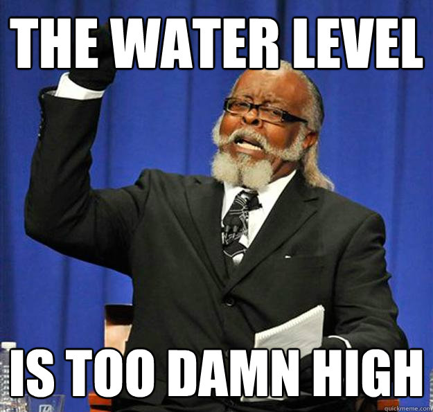 The Water LEvel Is too damn high  Jimmy McMillan