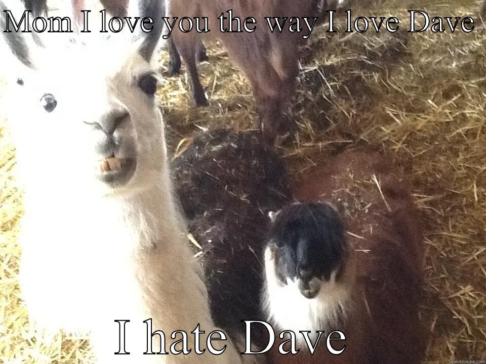 Meg the grumpy llama - MOM I LOVE YOU THE WAY I LOVE DAVE  I HATE DAVE  Misc