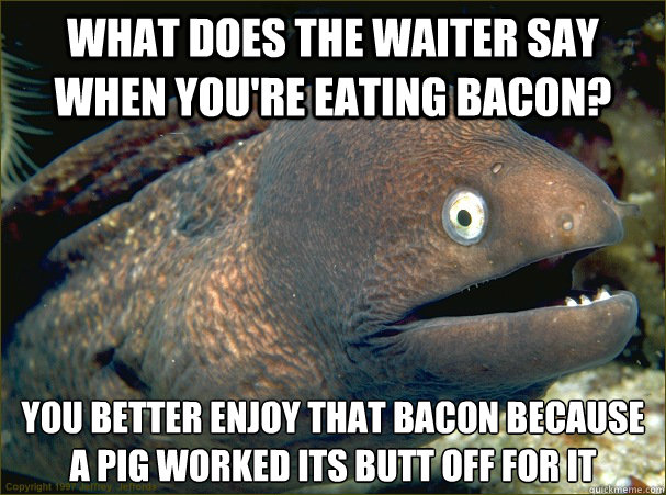 What does the waiter say when you're eating bacon? You better enjoy that bacon because a pig worked its butt off for it - What does the waiter say when you're eating bacon? You better enjoy that bacon because a pig worked its butt off for it  Bad Joke Eel