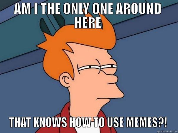 AM I THE ONLY ONE AROUND HERE THAT KNOWS HOW TO USE MEMES?! Futurama Fry