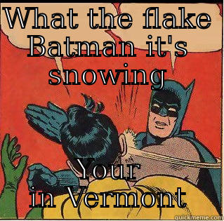 Snow Again?! - WHAT THE FLAKE BATMAN IT'S SNOWING YOUR IN VERMONT Slappin Batman