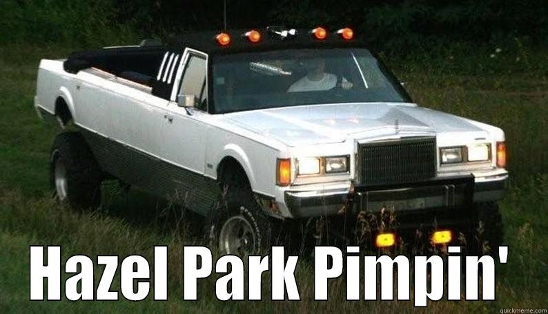 hazel park bitchin' -  HAZEL PARK PIMPIN' Misc